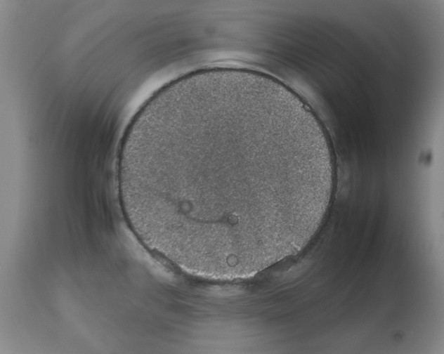 X0000112471384200909281035