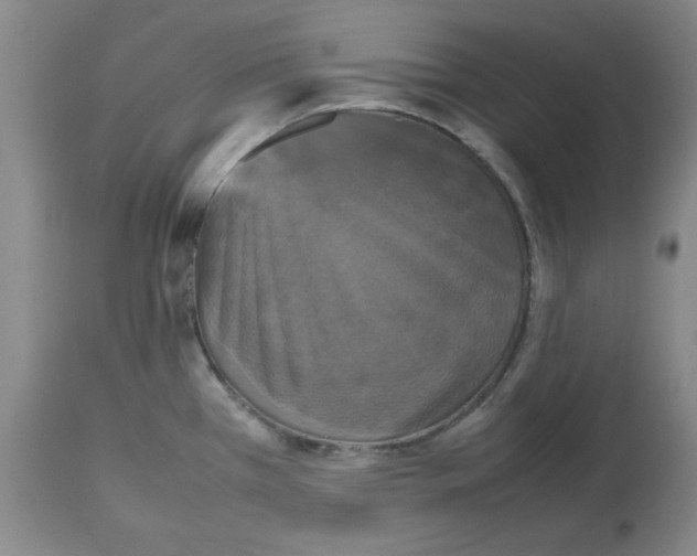 X0000112471385200909281035
