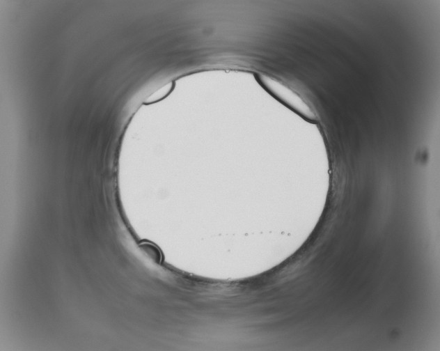 X0000112471387200909281035