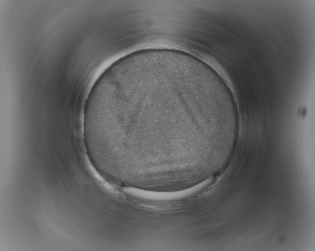 X0000112471388200909281035