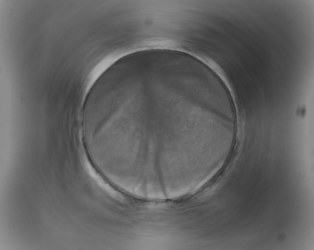 X0000112471389200909281035