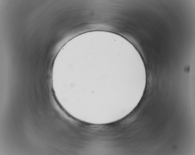 X0000112471391200909281035