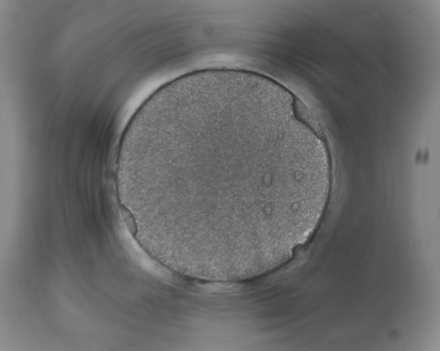 X0000112471392200909281035