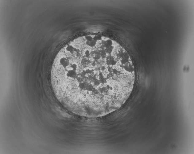 X0000112471393200909281034