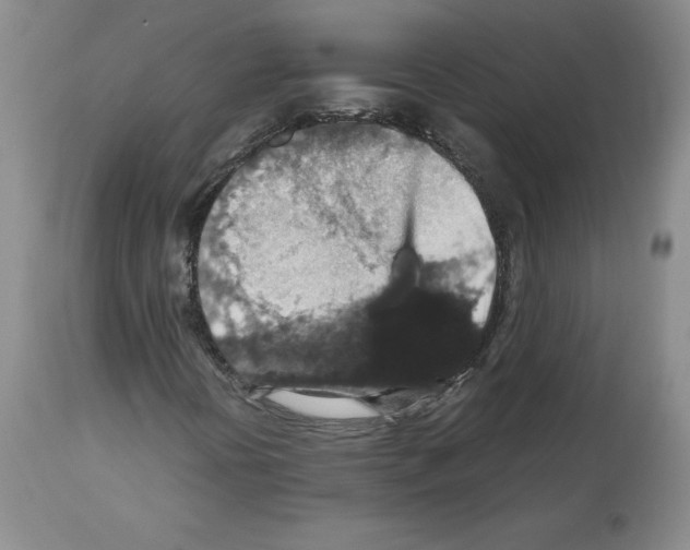 X0000112471394200909281034