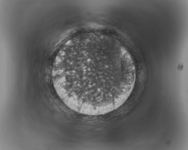 X0000112471397200909281034