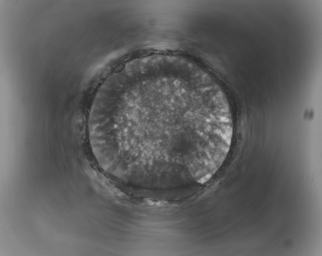 X0000112471398200909281034