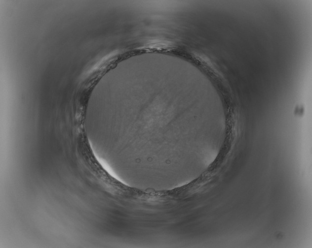 X0000112471399200909281034