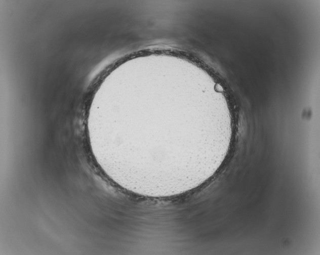 X0000112471400200909281034