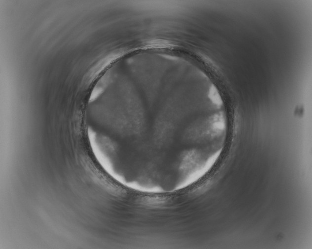 X0000112471401200909281034