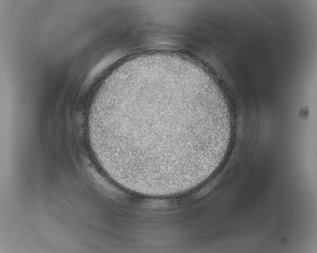 X0000112471402200909281034