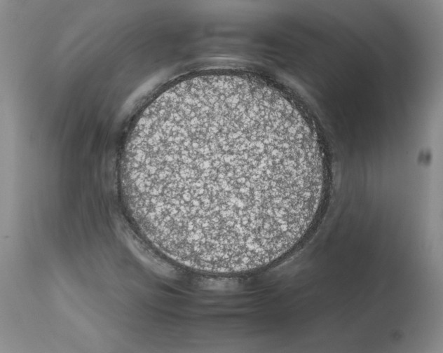 X0000112471403200909281034