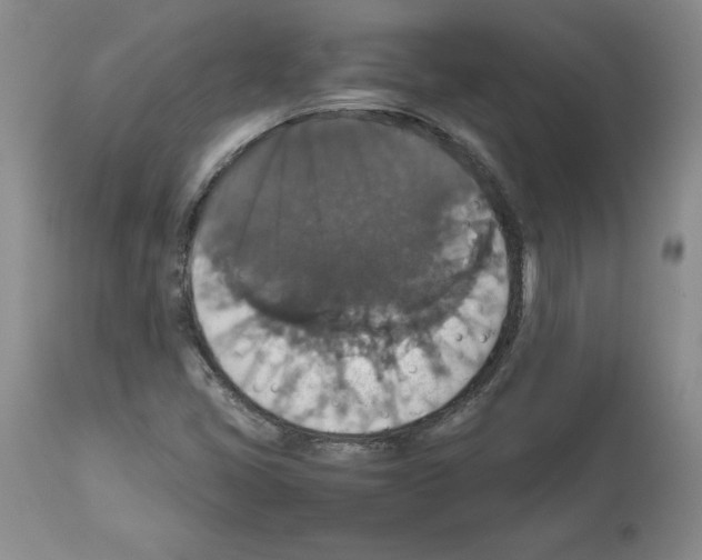 X0000112471405200909281034