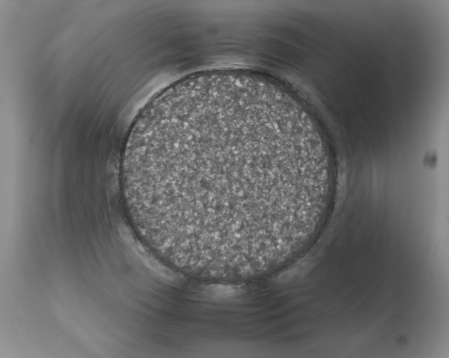 X0000112471409200909281034