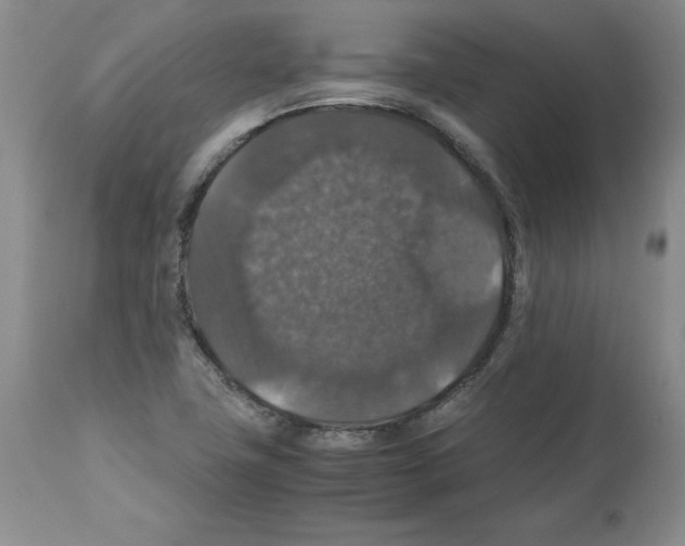 X0000112471411200909281034