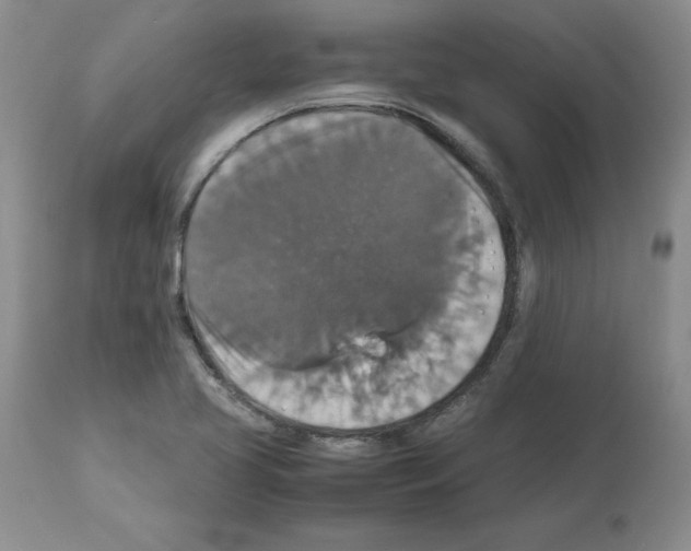 X0000112471413200909281034