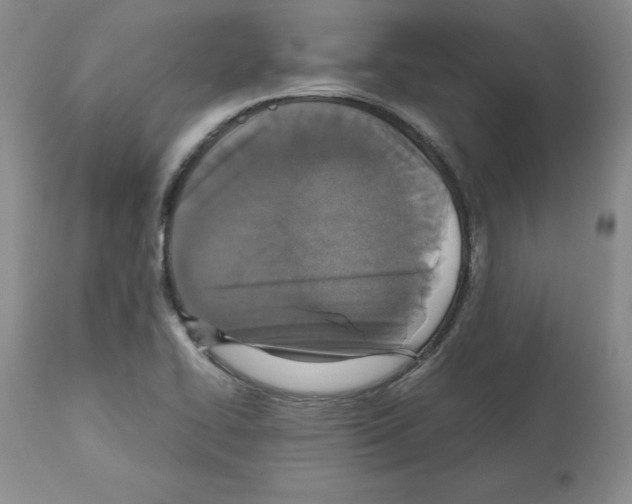X0000112471414200909281034