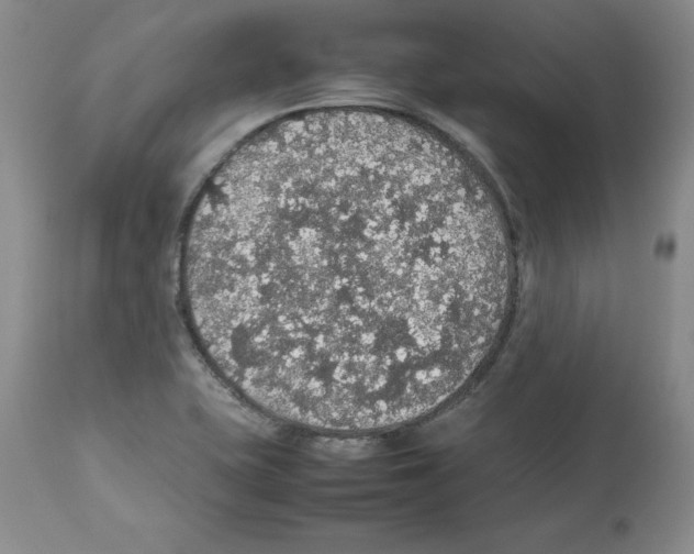 X0000112471415200909281034