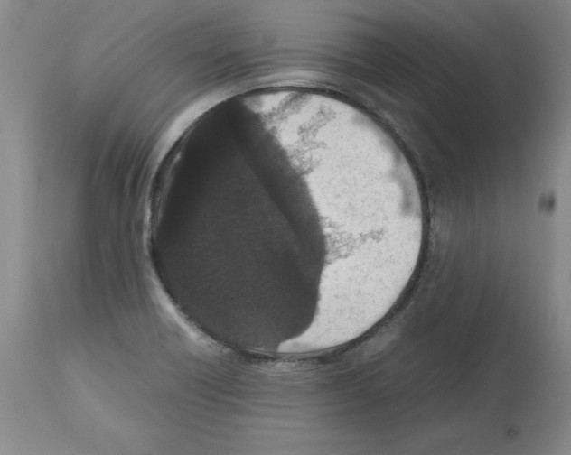 X0000112471418200909281034