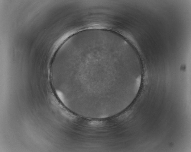 X0000112471419200909281034