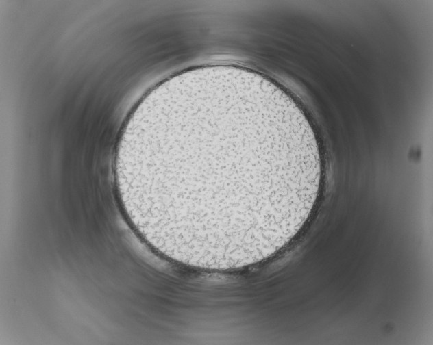 X0000112471420200909281034