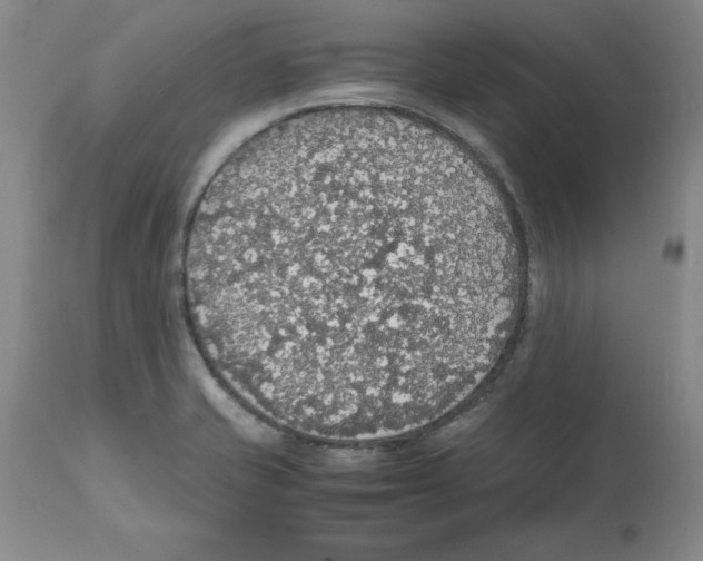 X0000112471421200909281034