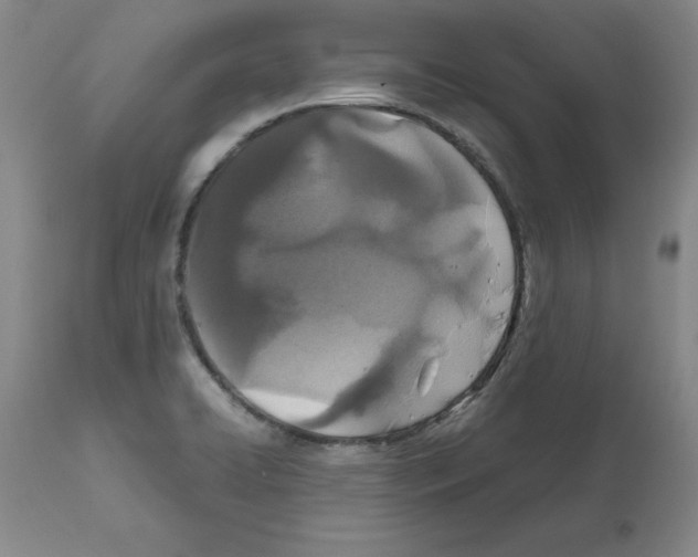 X0000112471422200909281034