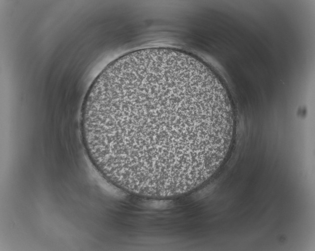 X0000112471423200909281034