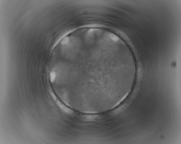 X0000112471425200909281034