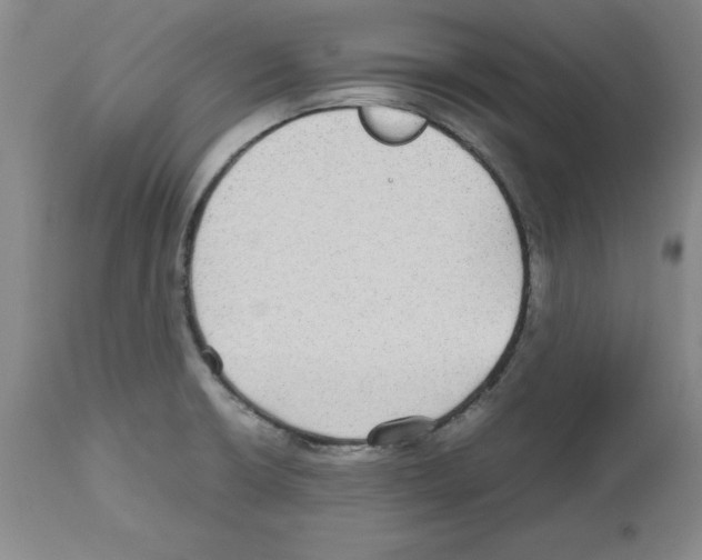 X0000112471426200909281034