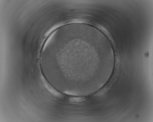 X0000112471427200909281034