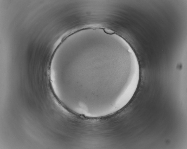 X0000112471428200909281034
