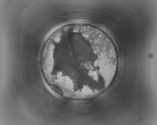 X0000112471429200909281034