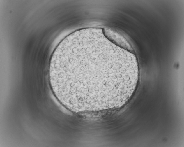 X0000112471432200909281034