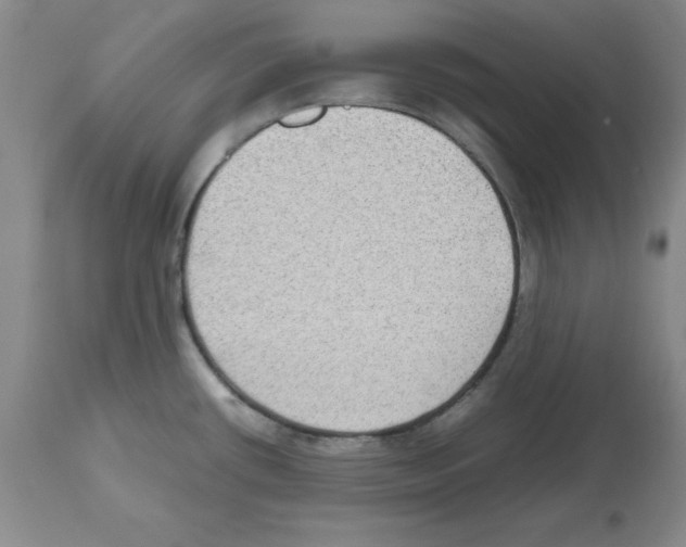 X0000112471434200909281034