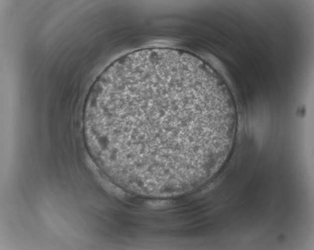 X0000112471435200909281034