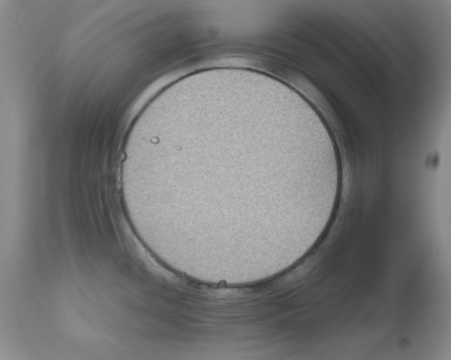 X0000112471436200909281034