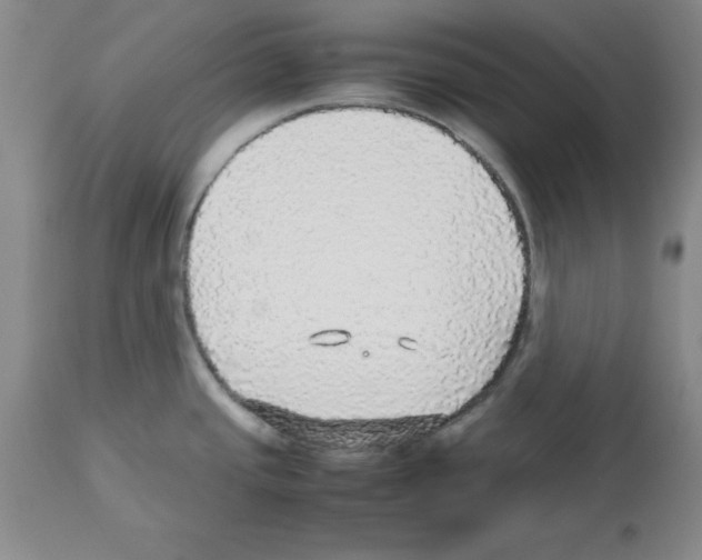 X0000112471437200909281034