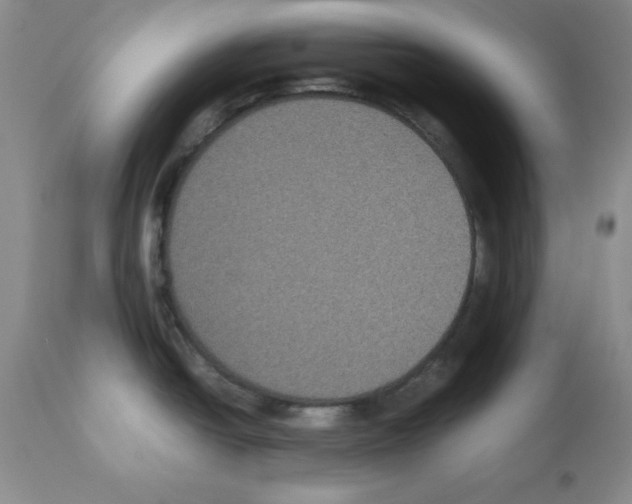 X0000112471438200909281034