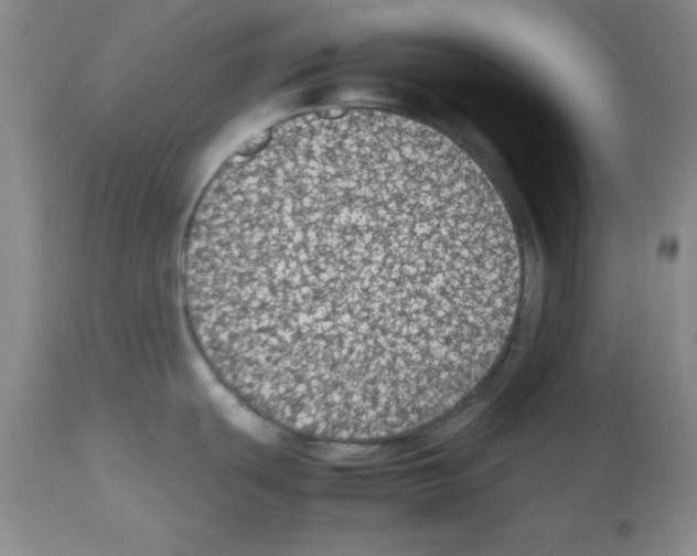 X0000112471439200909281034