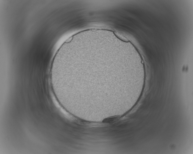 X0000112471440200909281034