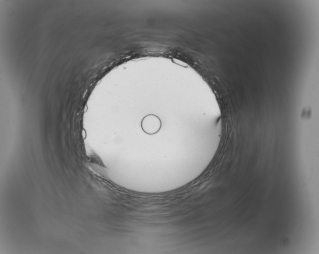 X0000112471441200909281034