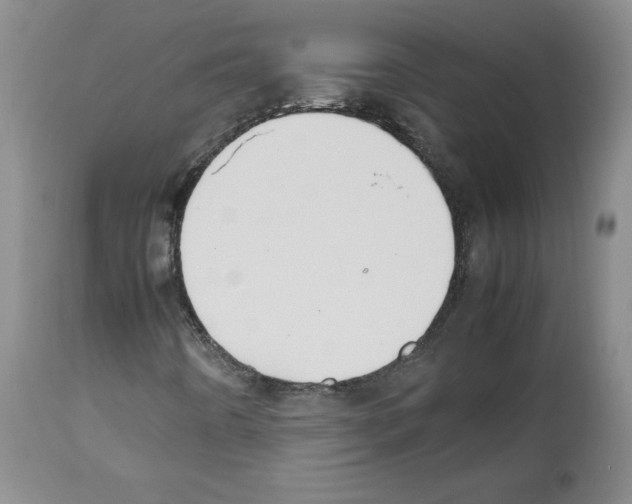 X0000112471442200909281034