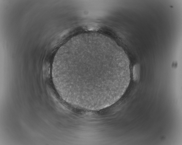 X0000112471443200909281034
