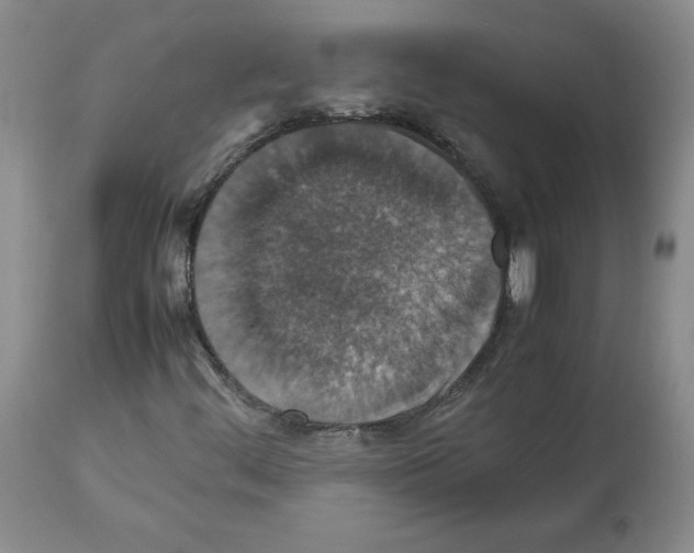 X0000112471444200909281034
