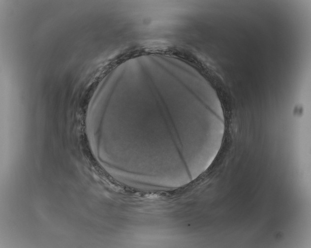 X0000112471445200909281034