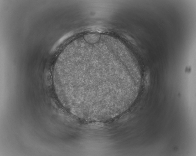 X0000112471446200909281034