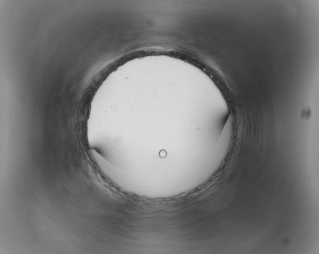 X0000112471448200909281034