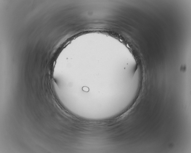 X0000112471449200909281034