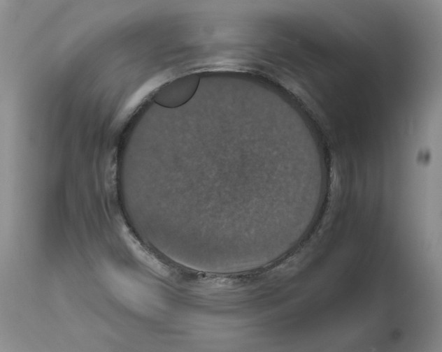 X0000112471450200909281034